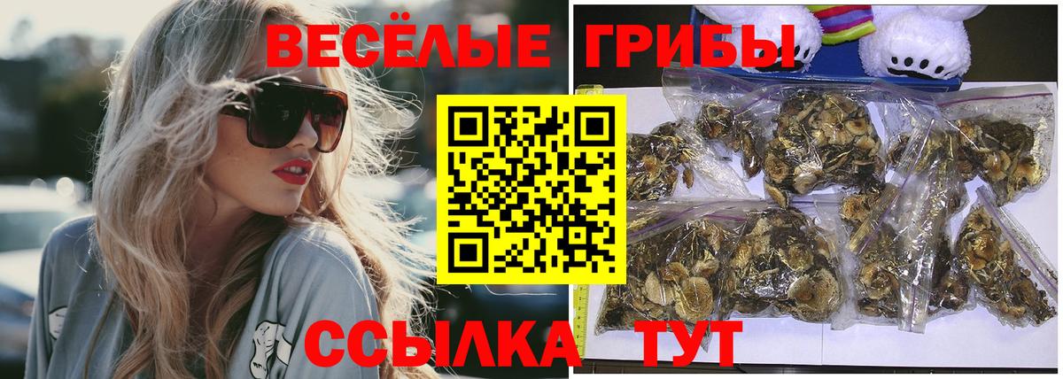 Галлюциногенные грибы мицелий Дубна